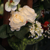 Fleurs en soie de la Maison Bentz