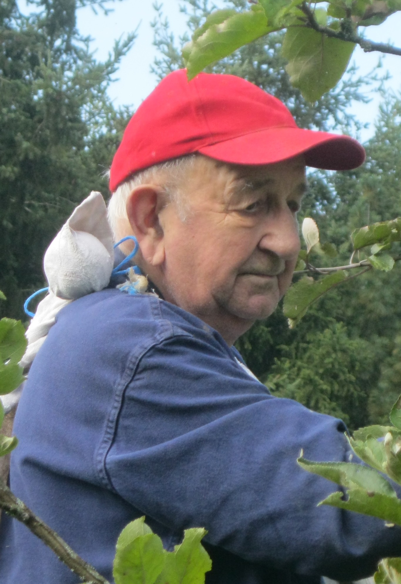 Photo du défunt